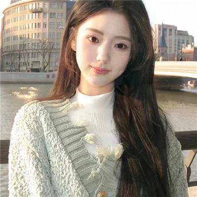 鹬