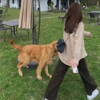 傲骨贤妻第五季