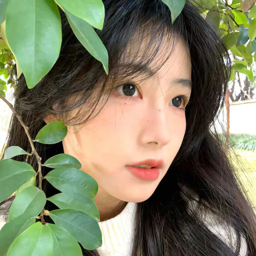 山的那一边